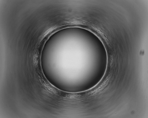 X0000101181163200806271245