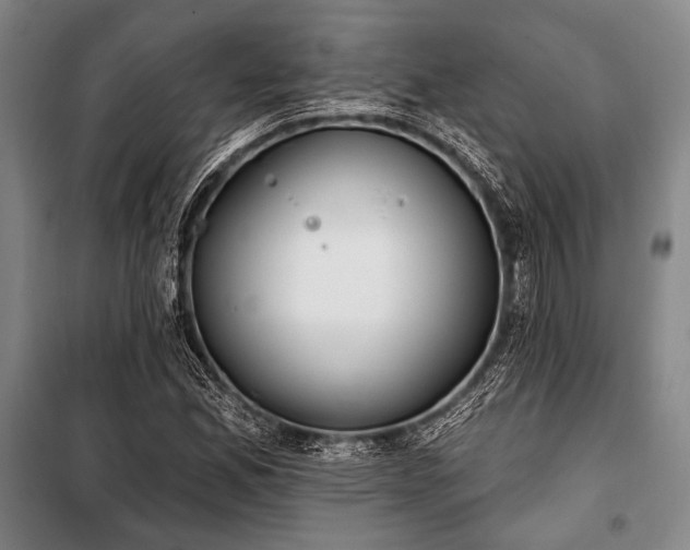 X0000101181165200806271245