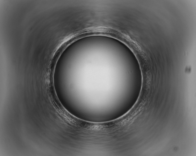 X0000101181166200806271245
