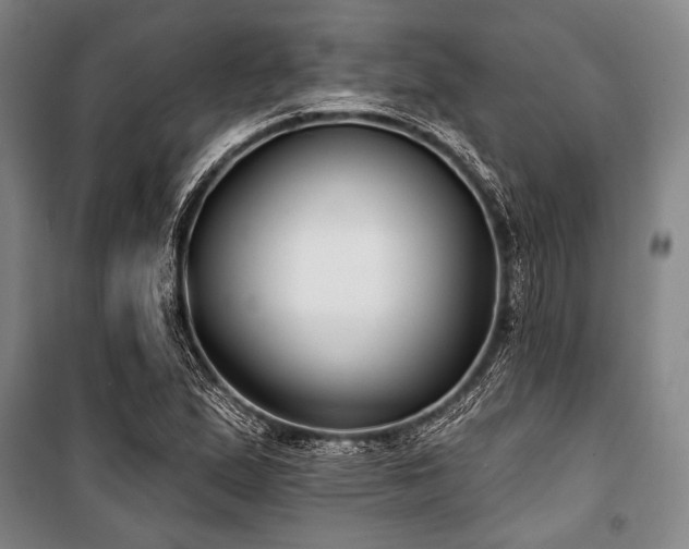 X0000101181167200806271245