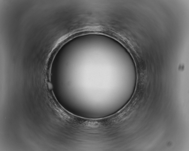 X0000101181168200806271245