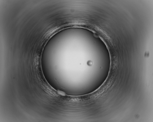X0000101181169200806271245