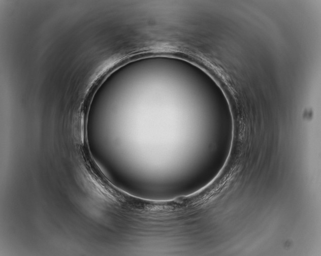 X0000101181171200806271245