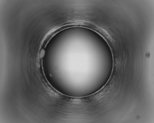 X0000101181172200806271245