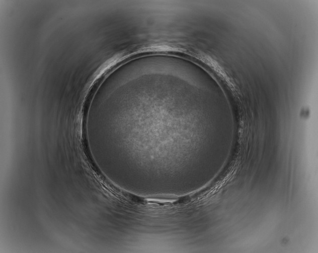X0000101181173200806271245