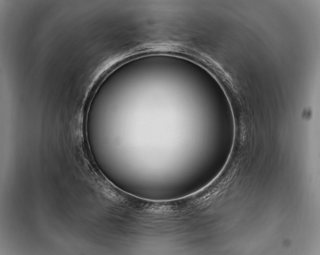 X0000101181174200806271245