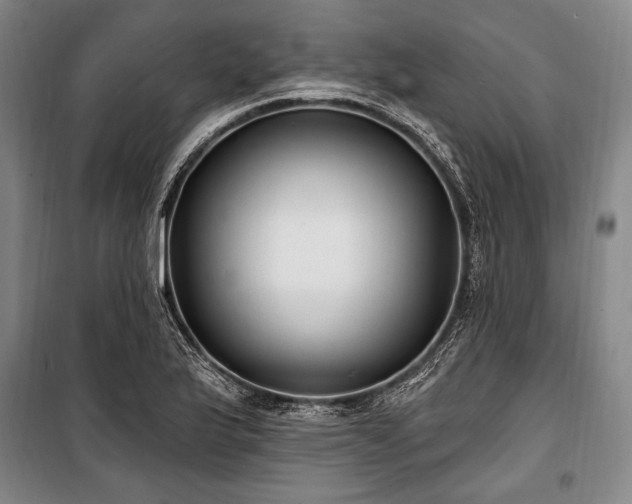 X0000101181175200806271245