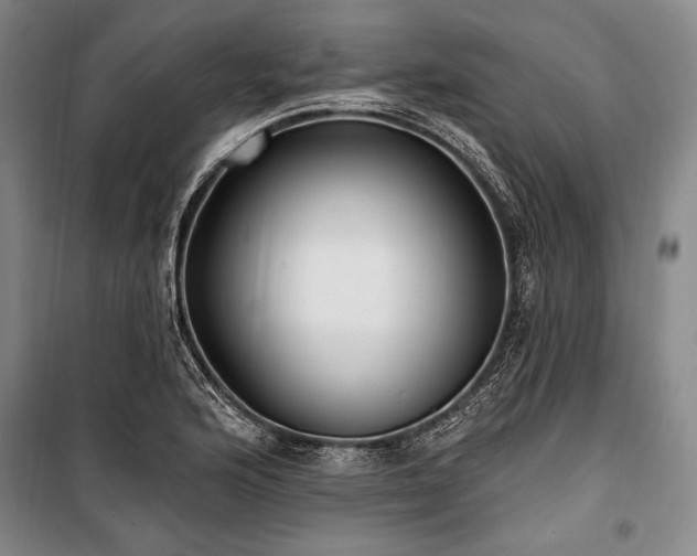 X0000101181176200806271245