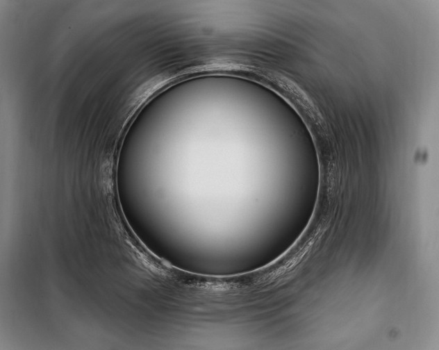 X0000101181177200806271245