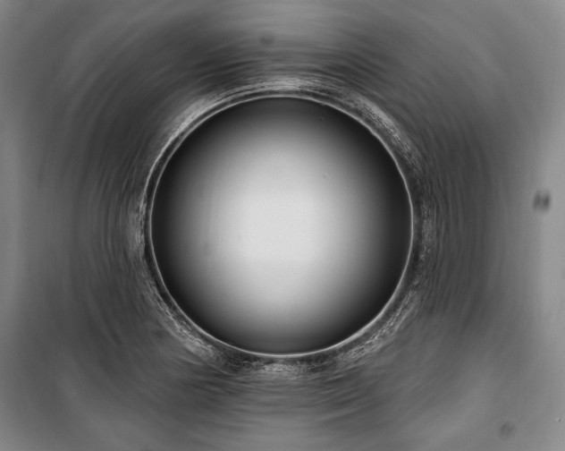 X0000101181178200806271245