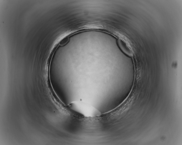 X0000101181179200806271245