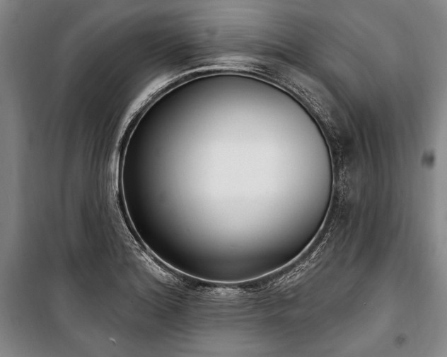 X0000101181180200806271245