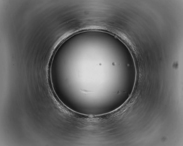 X0000101181181200806271245