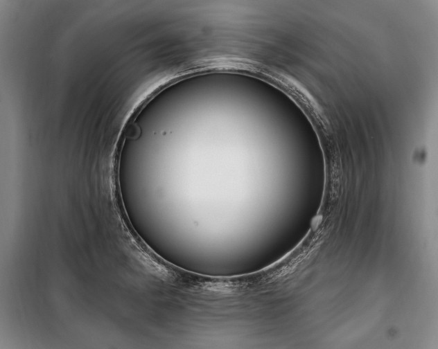 X0000101181182200806271245