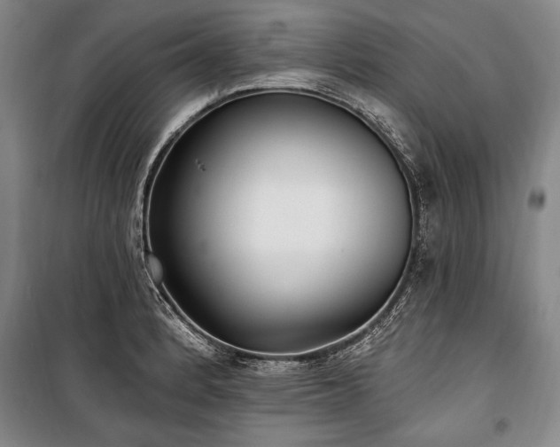 X0000101181184200806271245