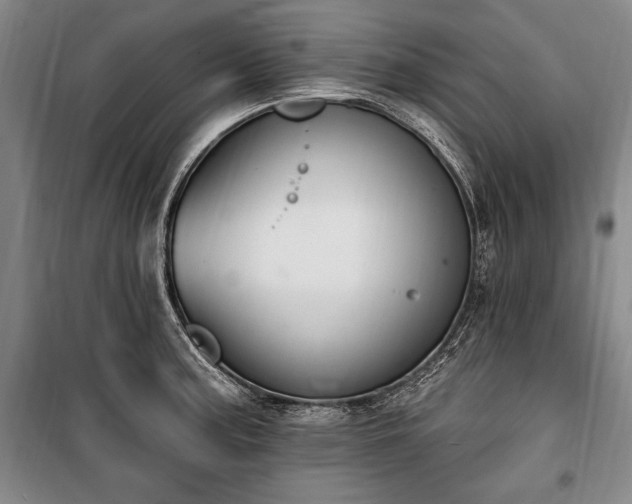 X0000101181187200806271245