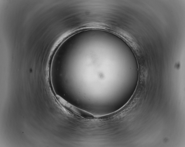 X0000101181188200806271245