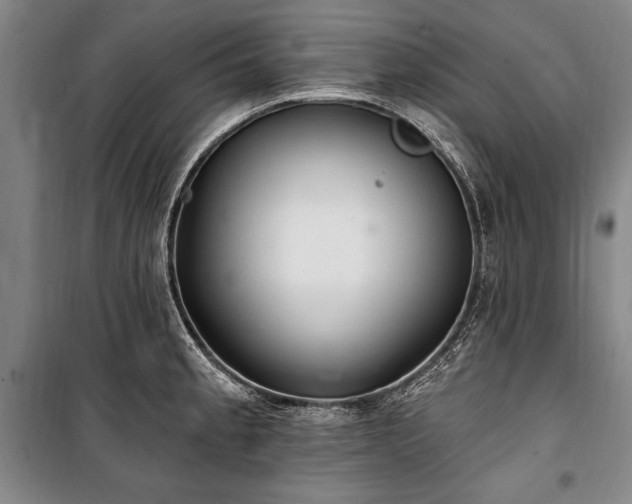 X0000101181189200806271245