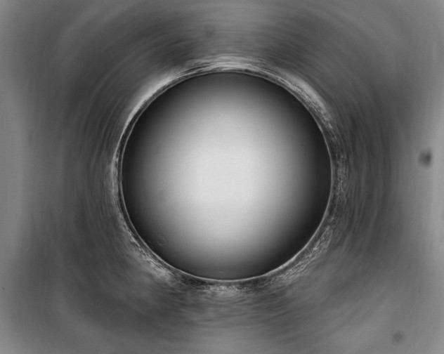 X0000101181190200806271245