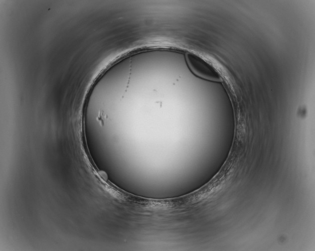 X0000101181191200806271245