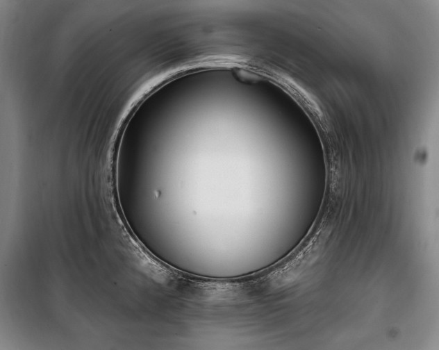 X0000101181192200806271245