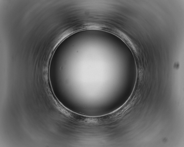 X0000101181194200806271245