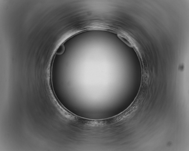 X0000101181195200806271245