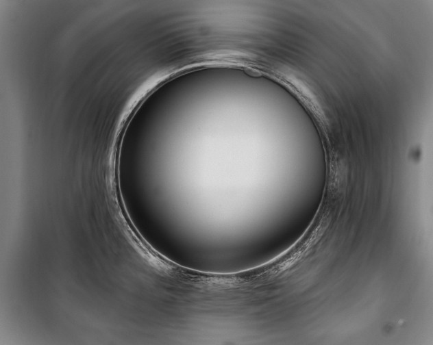 X0000101181196200806271245