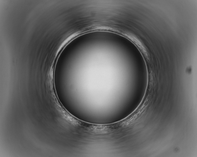 X0000101181198200806271244