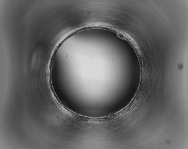 X0000101181199200806271244