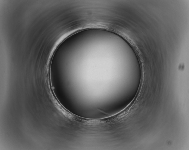 X0000101181200200806271244