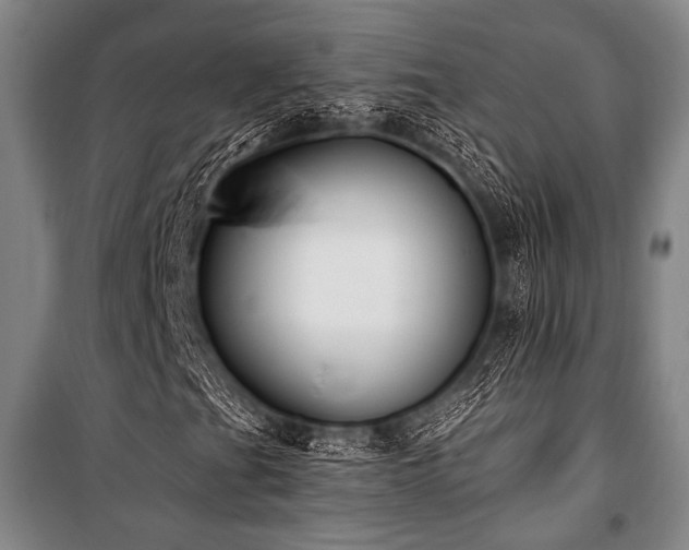 X0000101181201200806271244