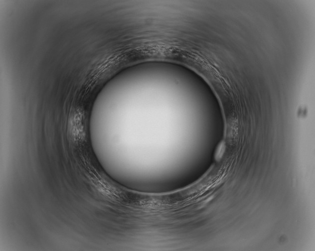 X0000101181202200806271244