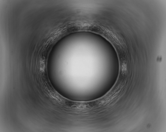 X0000101181204200806271244