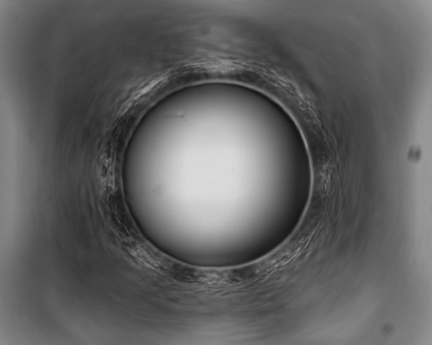 X0000101181205200806271244
