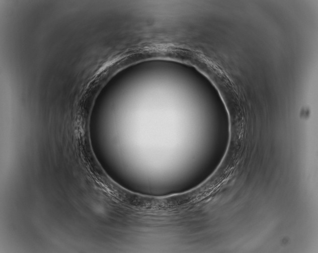 X0000101181206200806271244