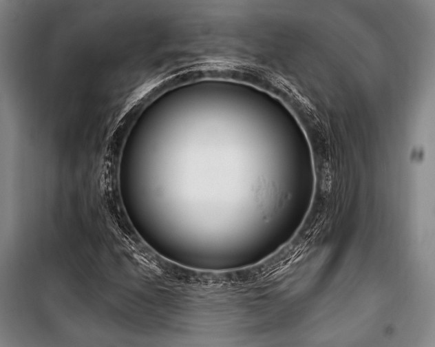X0000101181208200806271244