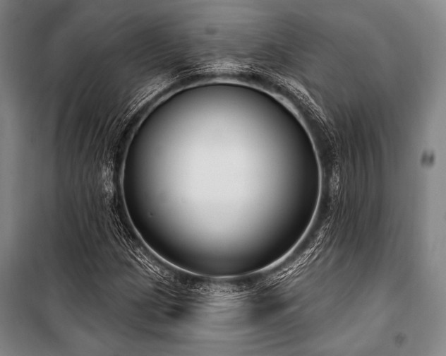 X0000101181209200806271244