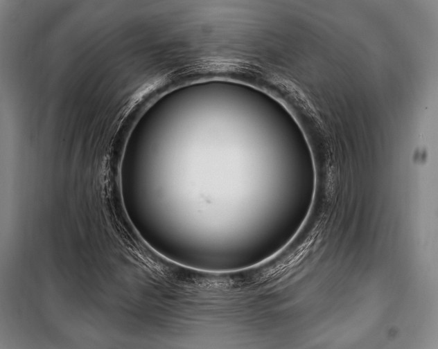 X0000101181210200806271244