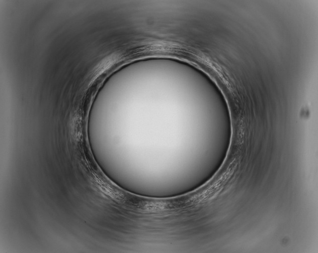 X0000101181211200806271244