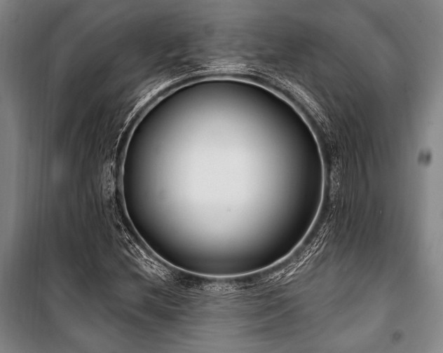 X0000101181212200806271244
