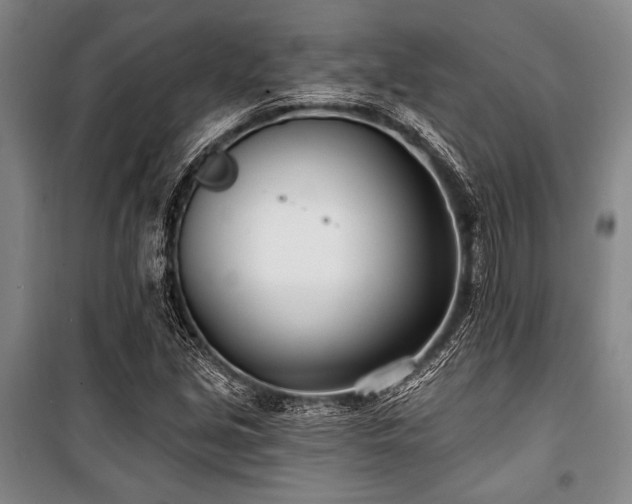 X0000101181213200806271244