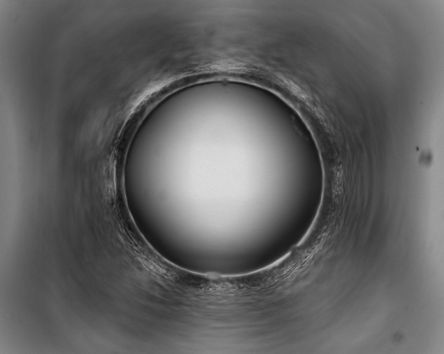 X0000101181214200806271244