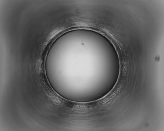 X0000101181215200806271244