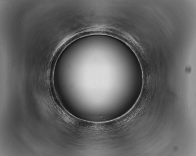 X0000101181216200806271244