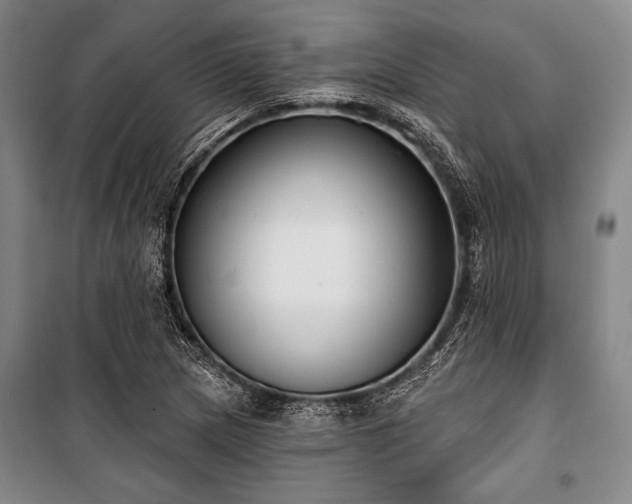 X0000101181217200806271244