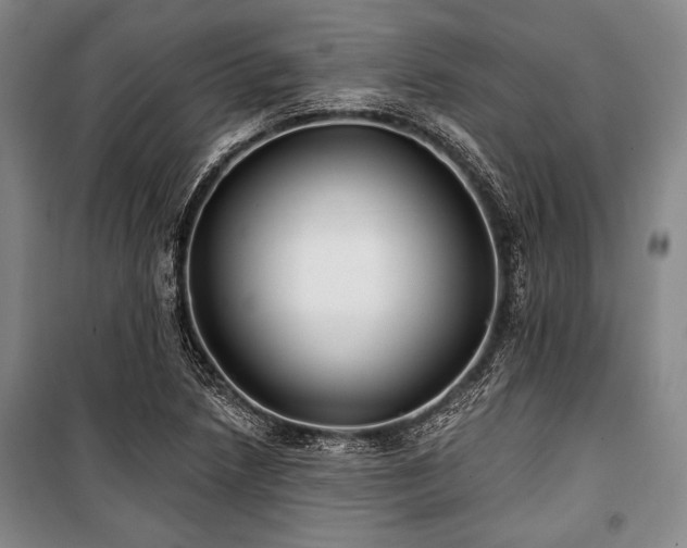 X0000101181218200806271244