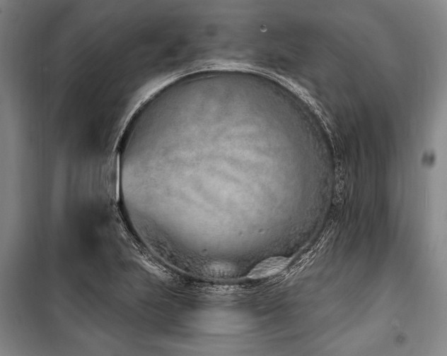X0000101181223200806271244