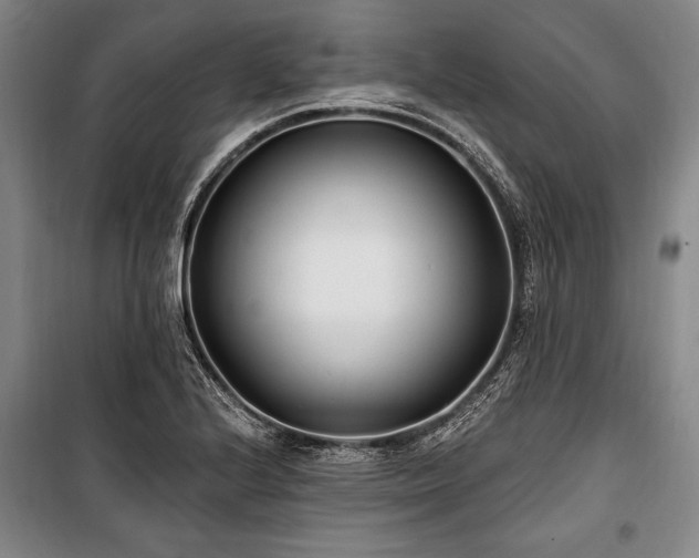 X0000101181224200806271244