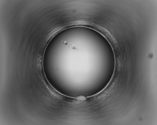 X0000101181225200806271244